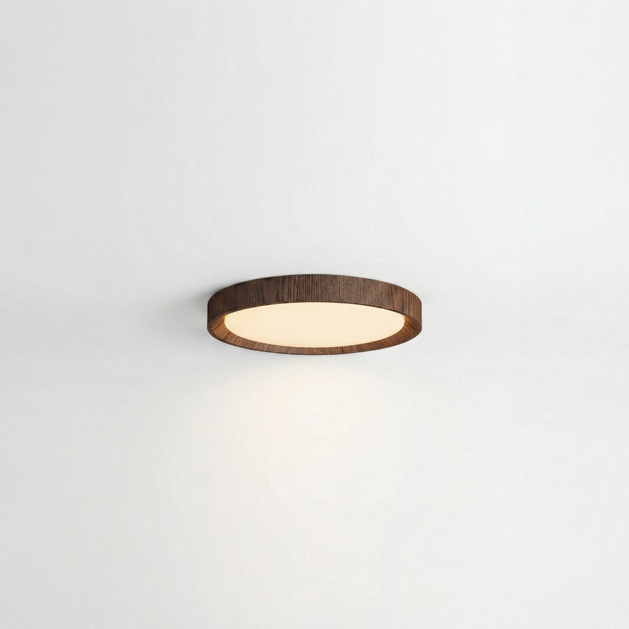 Minimalist Round Wood Trim LED Ceiling Light With Frosted Acrylic Diffuser