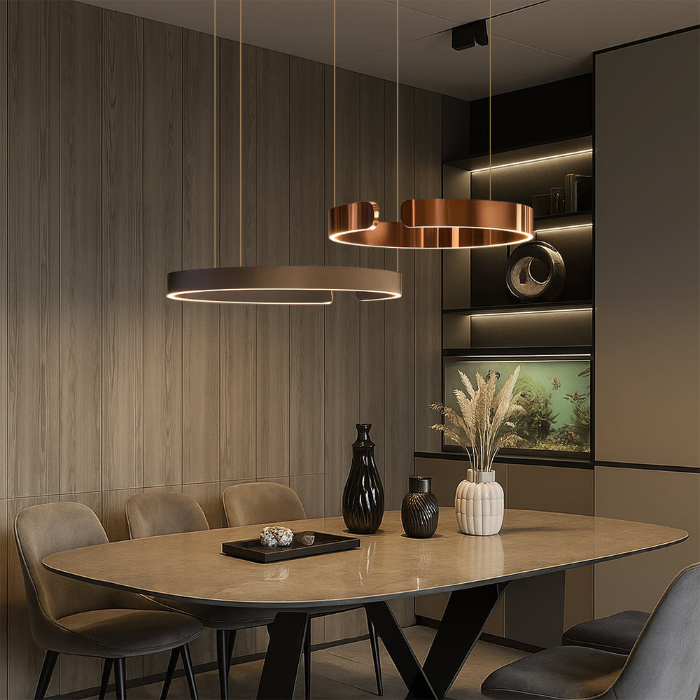 Modern LED Ring Pendant Light With Brushed Metal Finish And Adjustable Suspension