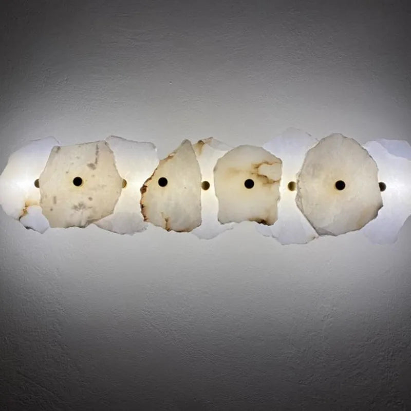 Organic Shape LED Wall Sconce Modern Decorative Sculptural Lighting