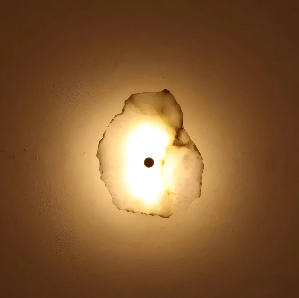 Organic Shape LED Wall Sconce Modern Decorative Sculptural Lighting