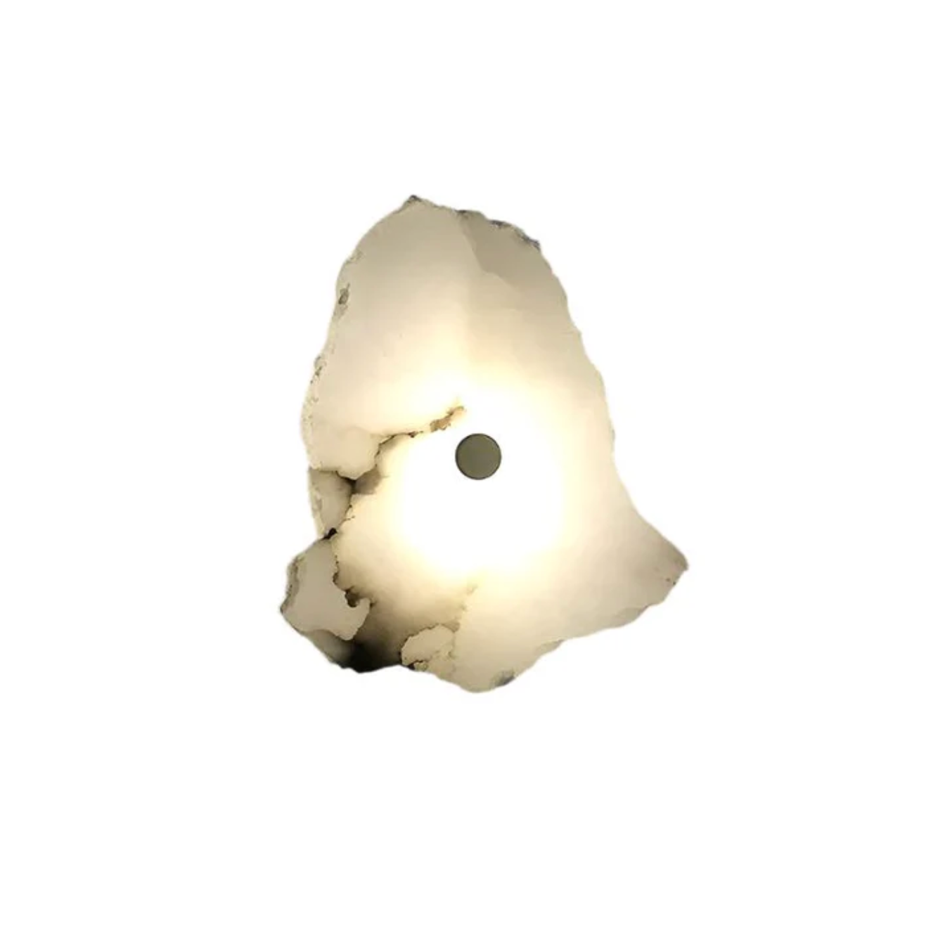 Organic Shape LED Wall Sconce Modern Decorative Sculptural Lighting
