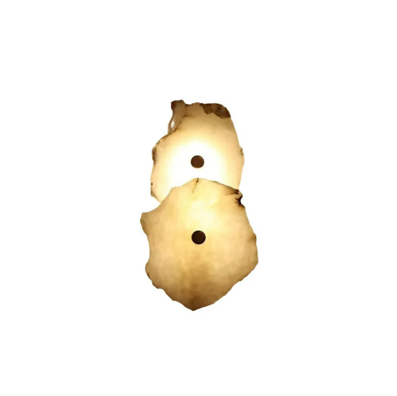 Organic Shape LED Wall Sconce Modern Decorative Sculptural Lighting