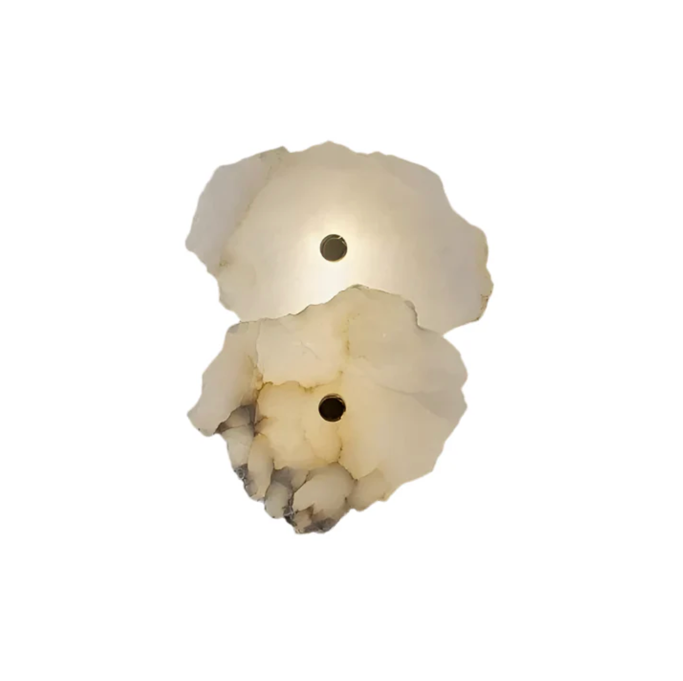 Organic Shape LED Wall Sconce Modern Decorative Sculptural Lighting