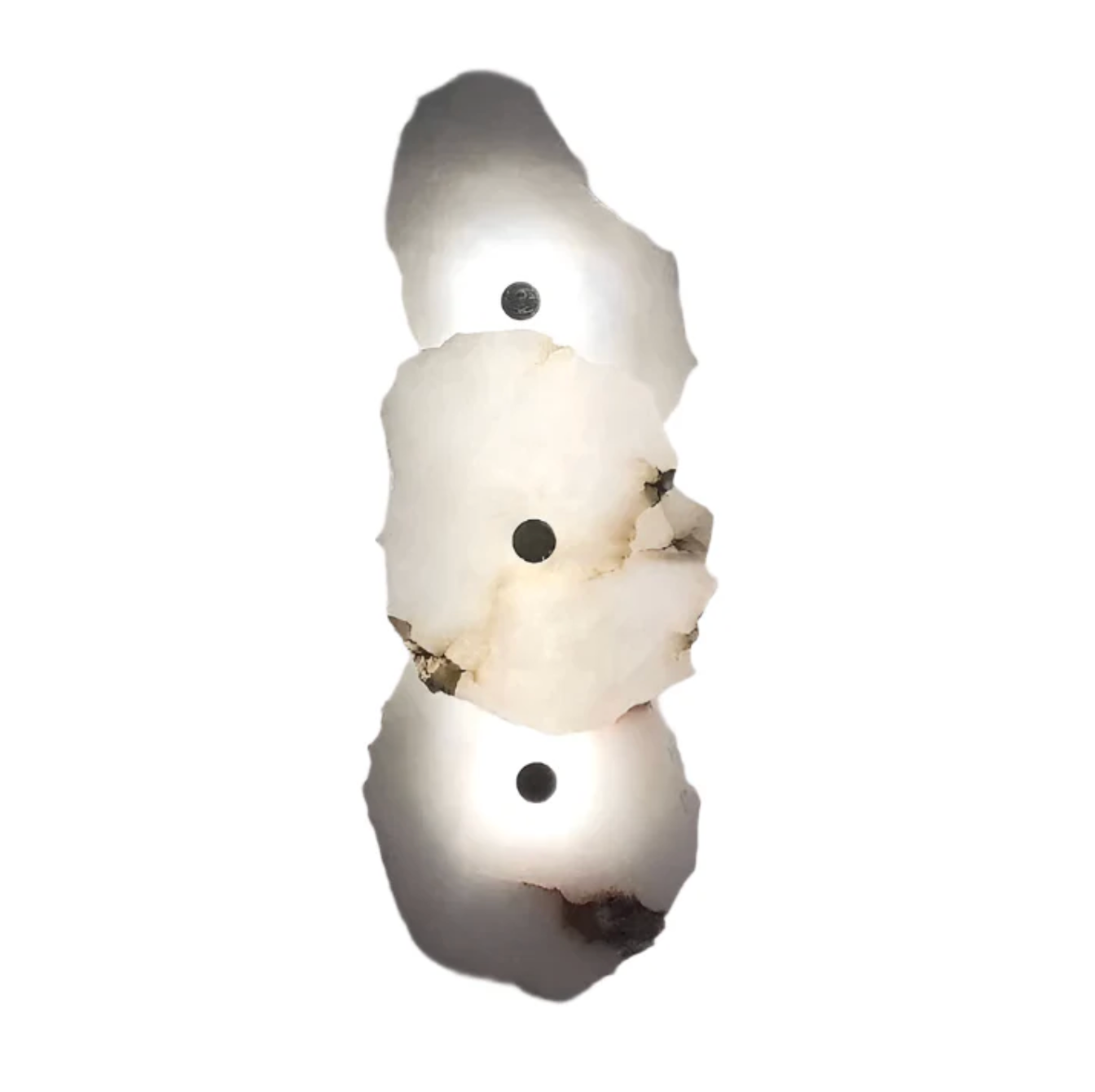 Organic Shape LED Wall Sconce Modern Decorative Sculptural Lighting