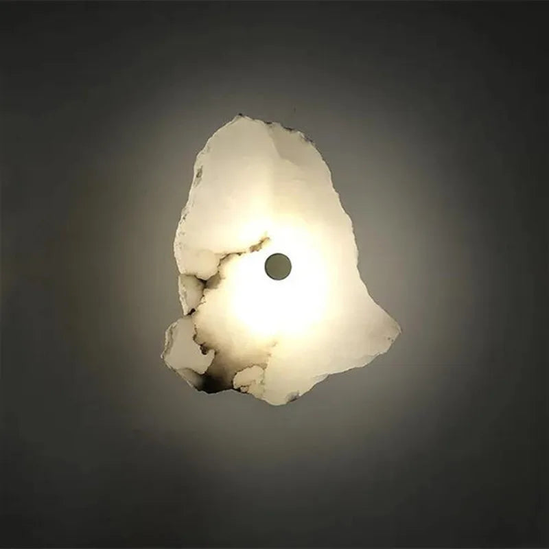 Organic Shape LED Wall Sconce Modern Decorative Sculptural Lighting